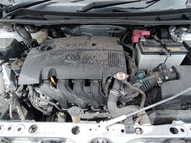 08.jpg