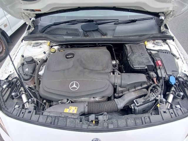 08.jpg