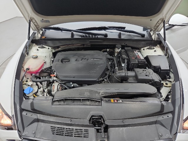 lotterental_15122693_S1eD8_6.jpg