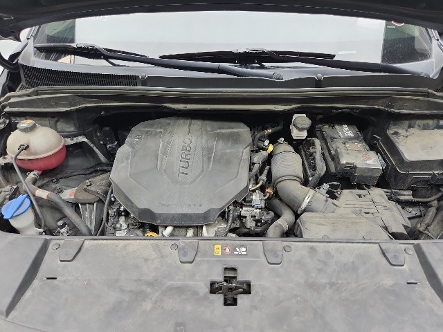 lotterental_14381833_urPBW_8.jpg