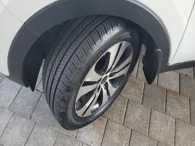 768cd93d9183fc16cf2742ef24223f77.jpeg