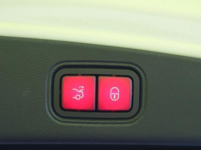 11159566_carP_l_8.jpg