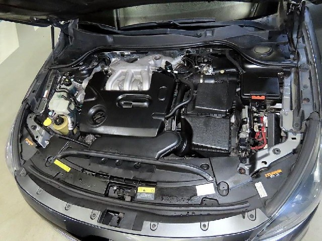 02f5ffa953de50c96c201cfdc185fd5e.jpeg