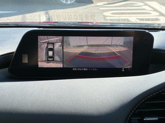 0403594A30261013W00118.jpg