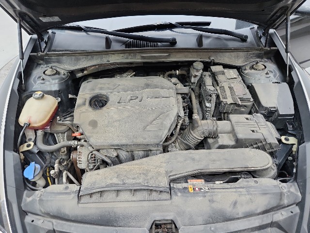 lotterental_215242657_ITd4l_2.jpg