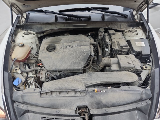 lotterental_220537308_abZkC_3.jpg