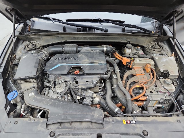 lotterental_213947764_1akLF_6.jpg