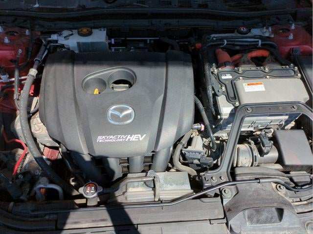 f834dd532a42561bc6ff45e87b3cfe64.jpg