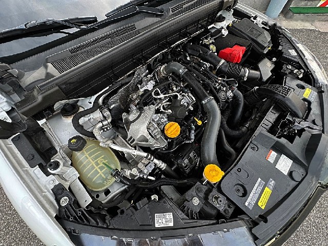 767d333a9b01312ac04b75040c557782.jpeg