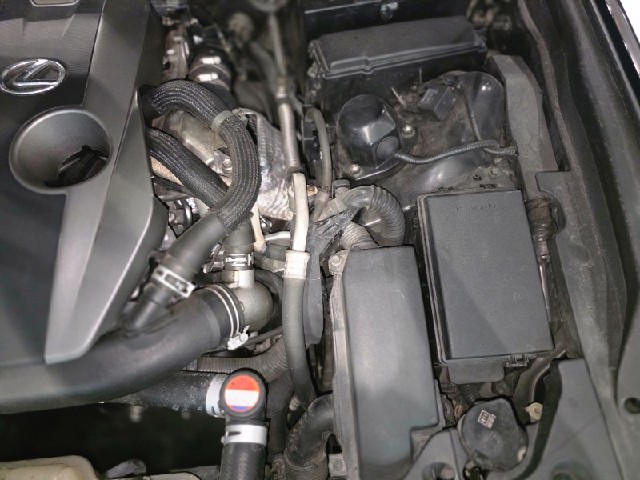 dd5200069ae4a31dcfef0ecda7a78177.jpeg