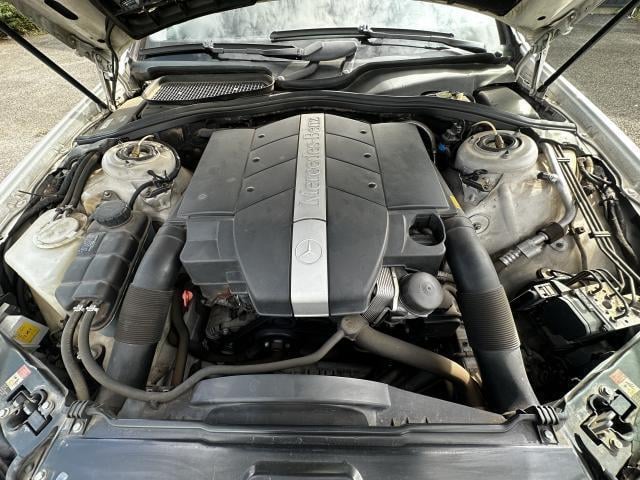 19227259_carP_l_17.jpg