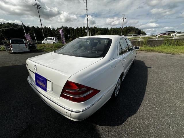19227259_carP_l_8.jpg