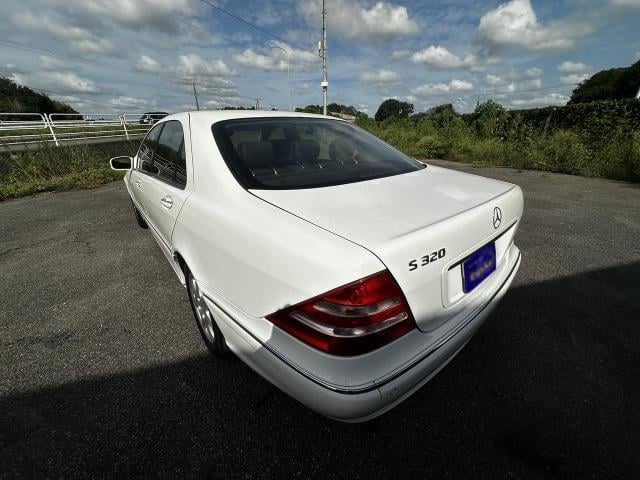 19227259_carP_l_9.jpg
