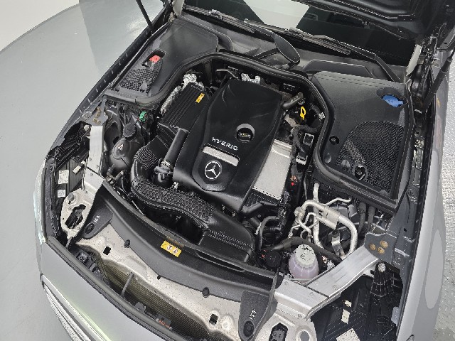 61c956407338e7fbfd70d17d5ba54041.jpeg