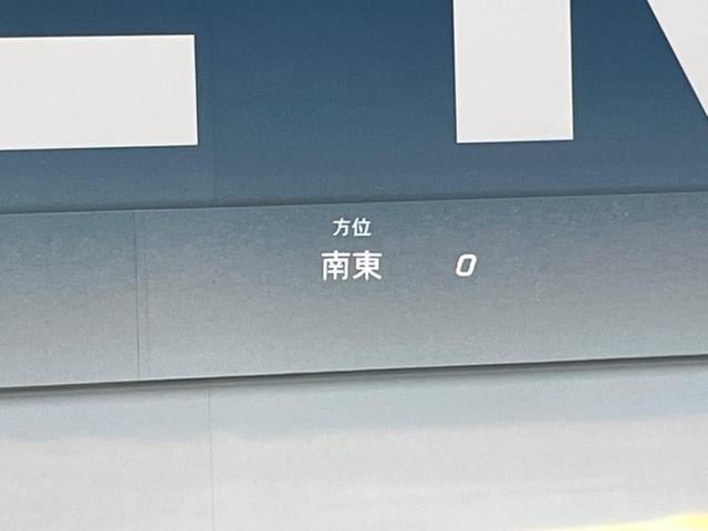 18272617_carP_l_17.jpg
