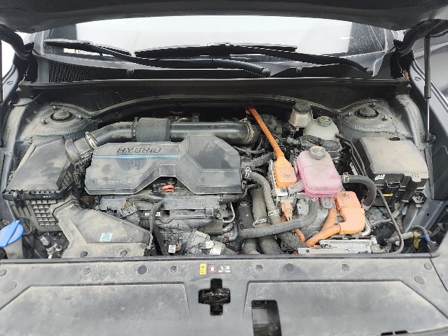 lotterental_092902549_n5gKA_9.jpg