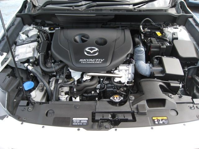 2af8c8ba72ccf99ea058f502f1bce402.jpg