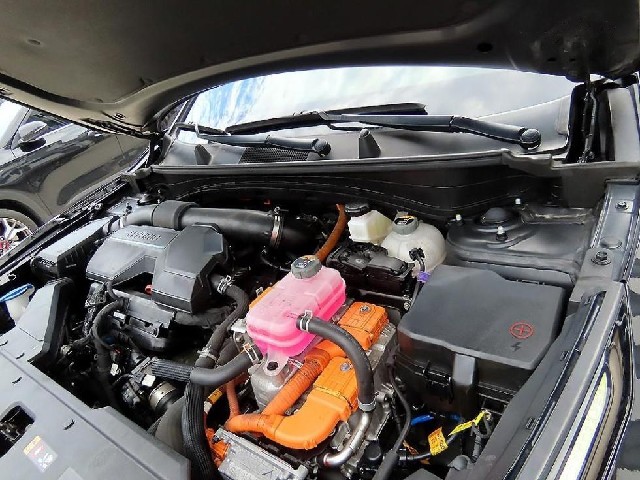 7e554b14729d2bf43189ff606e553960.jpeg