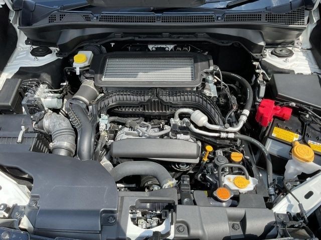 da6f6ab25fc7f0a505a11597d1e7950d.jpg