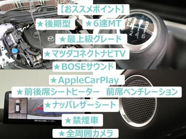 31bd7787de8b16d257eeaa0793662fac.jpg