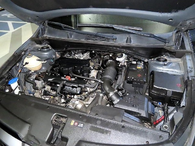 44ae8321b4bcdf05ca55c98a2c2d9924.jpeg