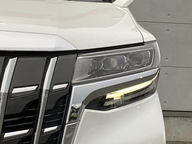 06f55deda1d01e78dc83ccd211e6c909.jpg