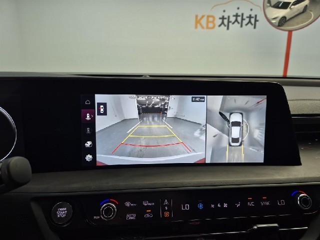 6081501153R13.jpg