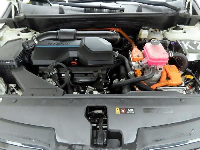 fd3d10f26507a800de2afd21690488bf.jpeg