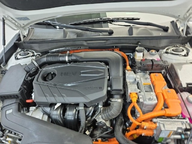 6051501448R5.jpg