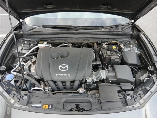 e02c10d1e5ed99abd91d630b6435ecc5.jpg