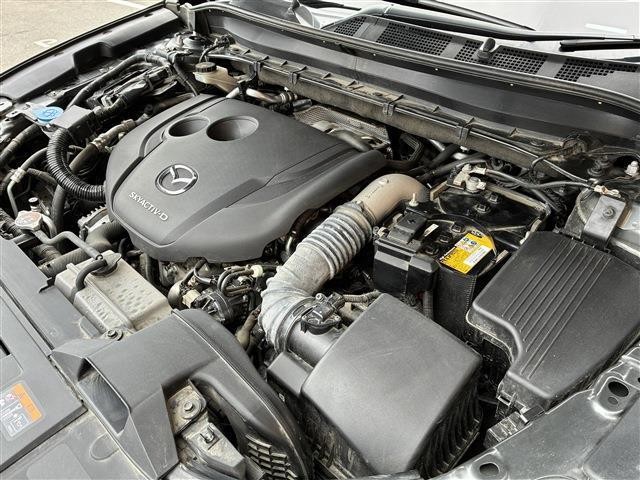 b4a5164a3f77e049786fa2b83677d5c6.jpg