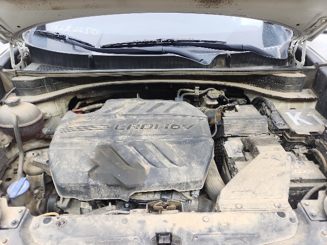 lotterental_170634105_GPLms_8.jpg