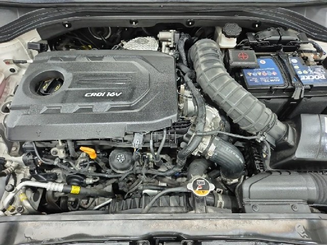 6081000937R5.jpg
