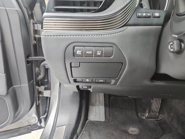 lotterental_111344805_MhIMh_7.jpg