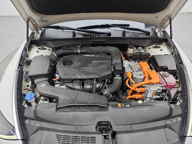 lotterental_103009152_xCrMx_9.jpg