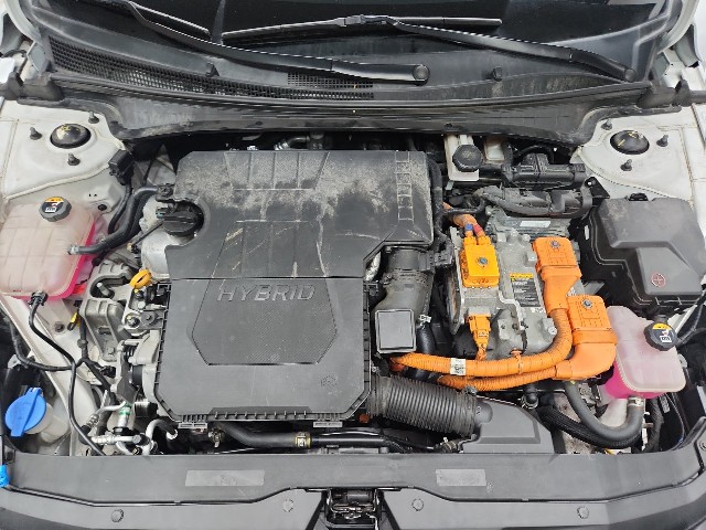 lotterental_101506168_eDv61_6.jpg