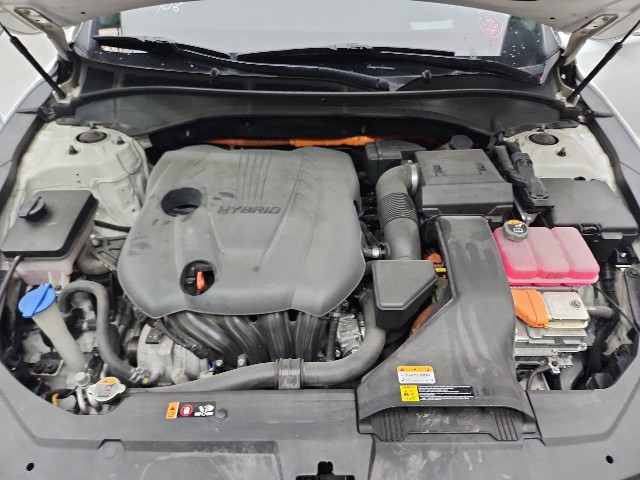 lotterental_202239533_IYWwy_8.jpg