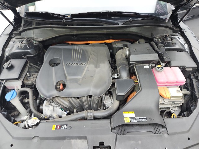 lotterental_144415859_THphn_9.jpg