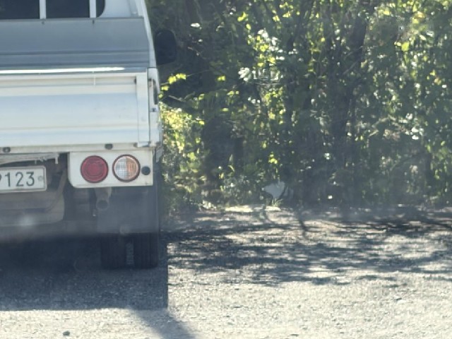 a8aae552c1ef06ed443c5f0cfc800180.jpeg