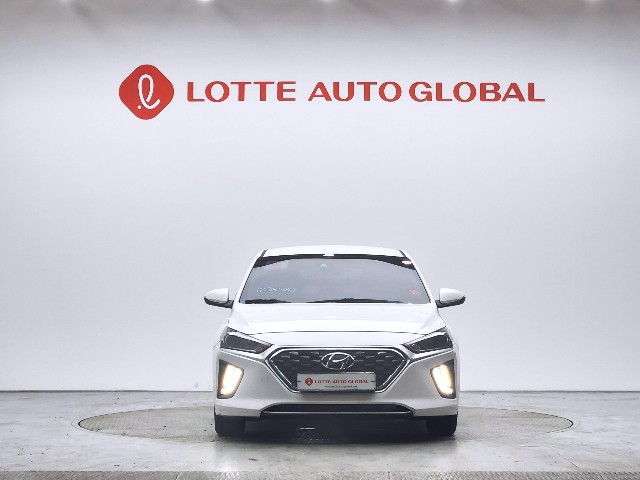 lotterental_162129370_gacz8_1.jpg