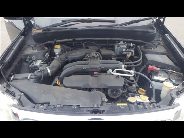 08.jpg