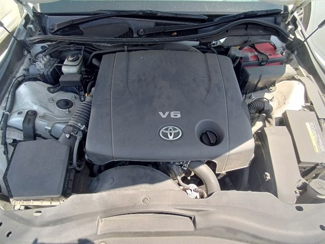 08.jpg