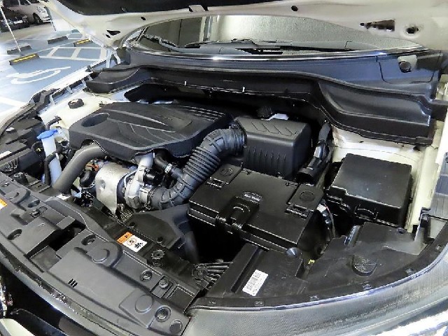 b1895ad90900e215354502a05e8eb603.jpeg