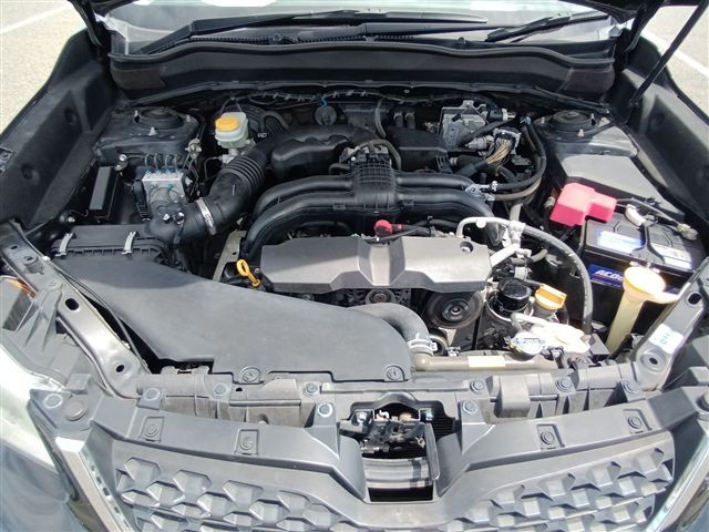 08.jpg