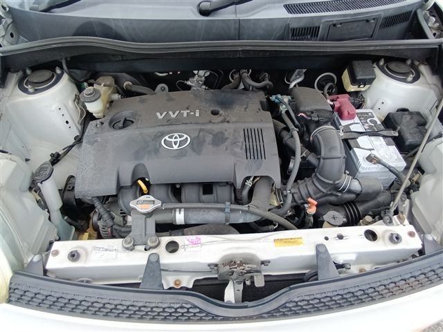 08.jpg