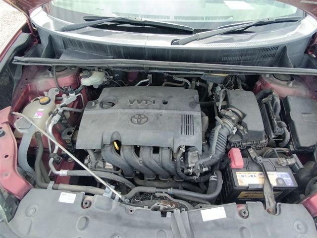 08.jpg