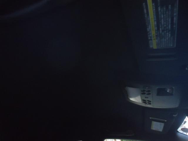 22549397_carP_l_12.jpg