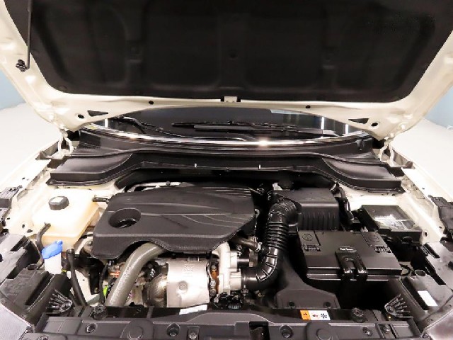 f669c7babfb79296ab91b1b011247c4b.jpeg