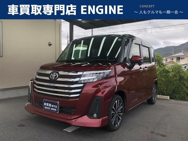 70010032573025102100100.jpg