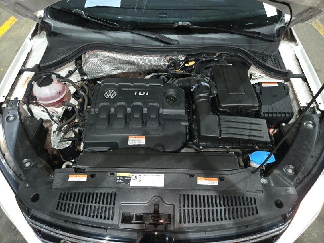 cea42da1f6d7dd1025c7f2506706d464.jpeg